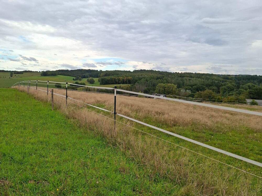 Thumbnail-Pferdehaltung und mehr: Umfassend saniertes Bauernhaus mit Nebengebäuden und 3,54 ha Eigenland!