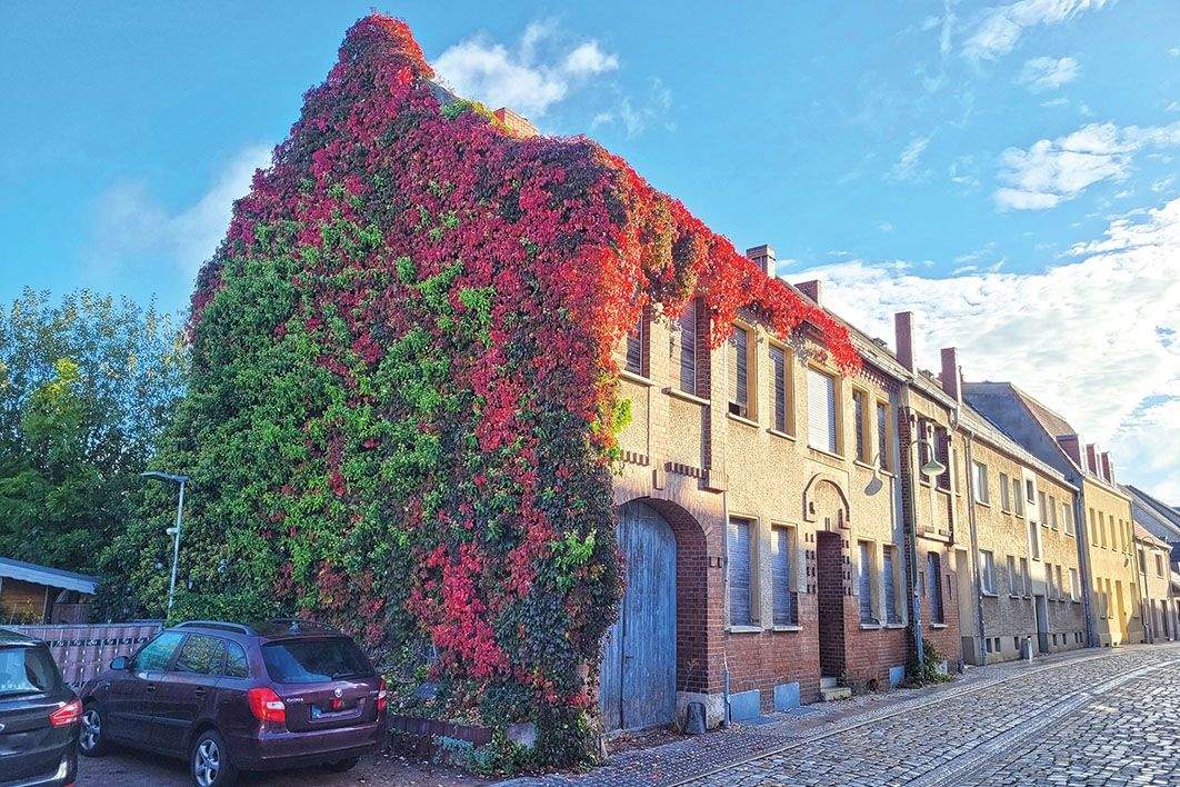 Thumbnail-Nachauktion - Bauareal mit Planung und einer Bestandsimmobilie