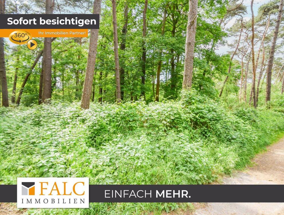 Thumbnail-Waldareal in gewachsener Naturkulisse