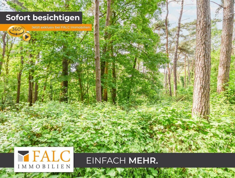 Thumbnail-Ein Stück Holter Heide fürs eigene Portfolio