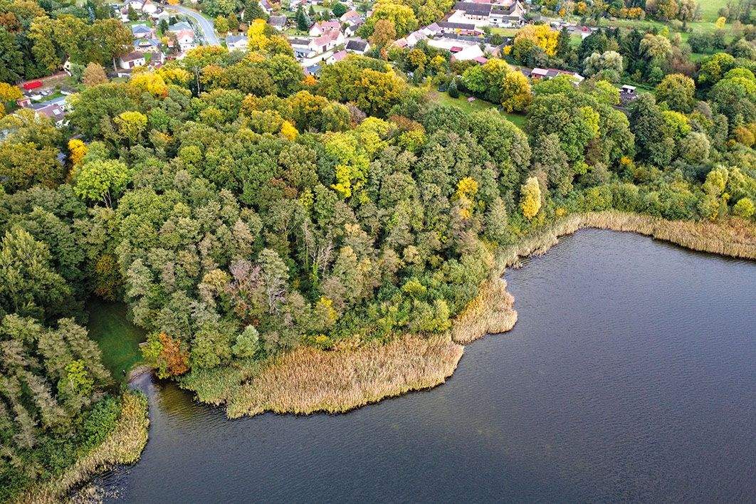 Thumbnail-Baugrundstück mit Waldbestand am Großen Schauener See