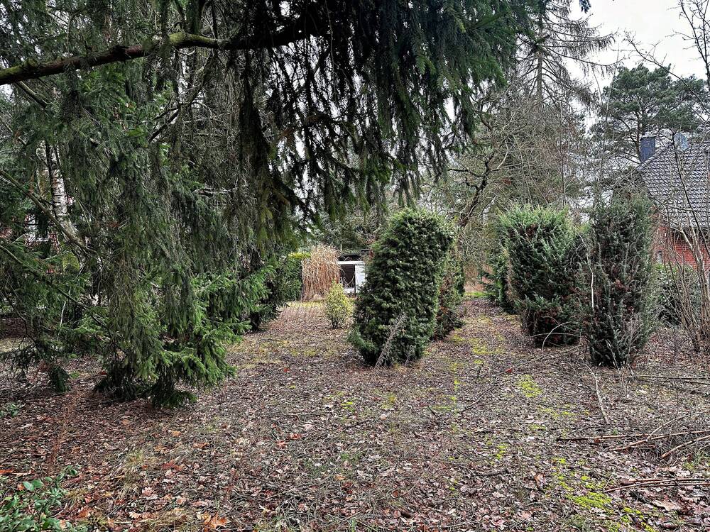 Blick aufs Grundstück
