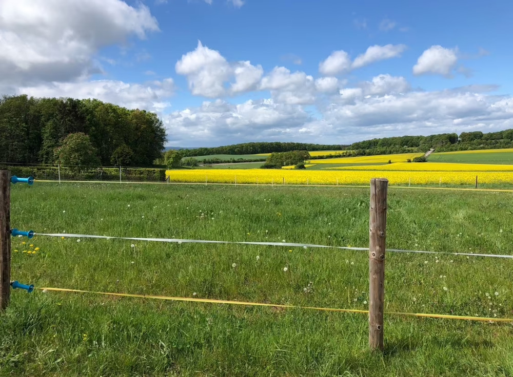Thumbnail-Traumhaftes Baugrundstück mit unverbaubarem Blick in Mechernich - Ruhe und Sonne