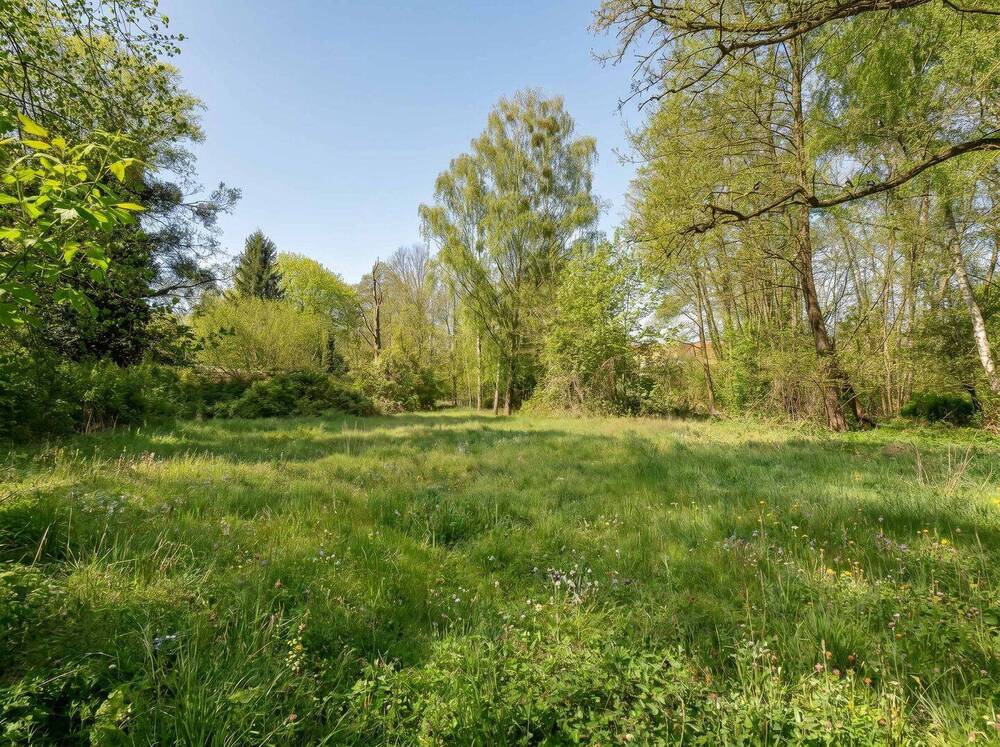 Thumbnail-Absolute Rarität - Exklusives Baugrundstück am Dorfplatz Stahnsdorf mit einzigartigem Naturbestand