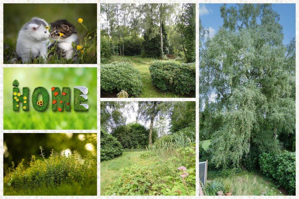 Thumbnail-6-Zimmer Familienidyll für Tierfreunde & Naturliebhaber