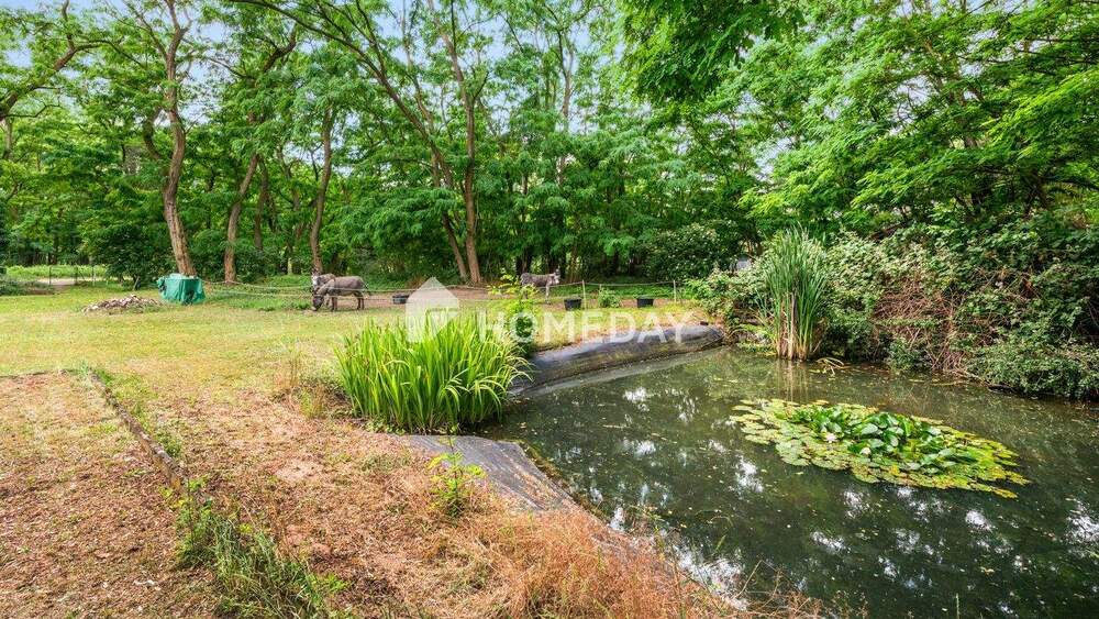 Thumbnail-Privatsphäre pur: Idyllisches Anwesen in Alleinlage - 6.500 m² Grundstück & 198 m² Wohnhaus