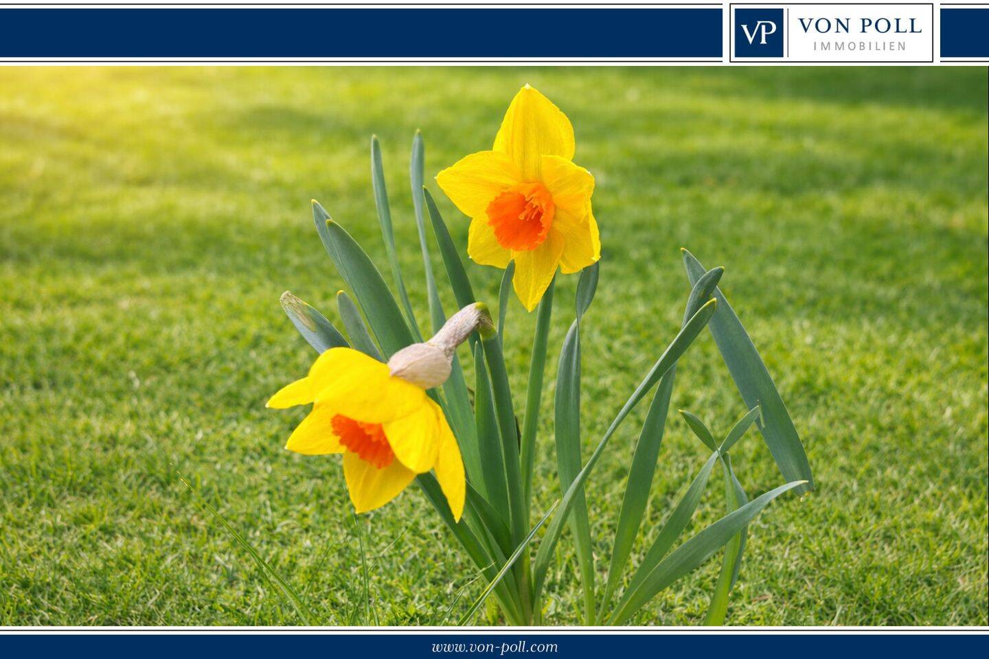 Thumbnail-Bauträgerfreies Grundstück für ein Einfamilienhaus in Top Lage von Karow