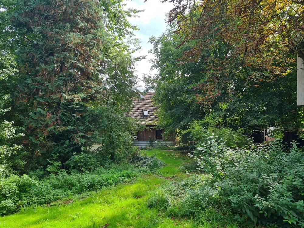 Naturparadies Haus Gartenseite