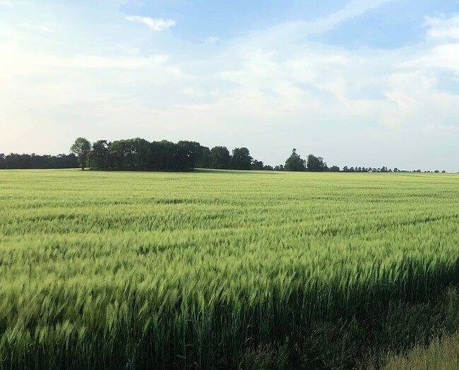 Thumbnail-547 m² Baugrundstück für ein Einfamilienhaus (Grundstück 06)