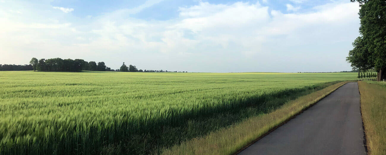 Thumbnail-547 m² Baugrundstück für ein Einfamilienhaus (Grundstück 07)