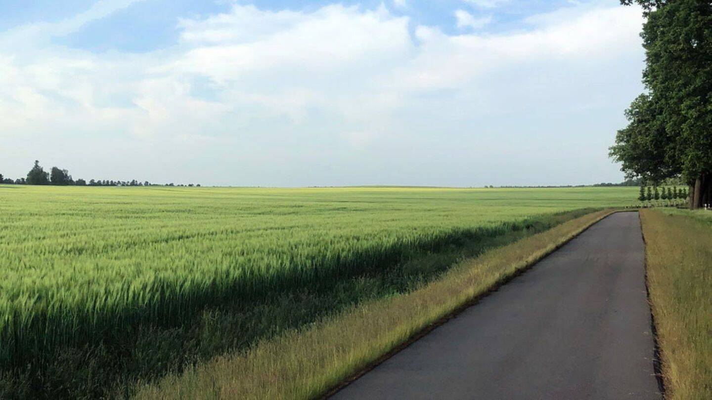 Thumbnail-642 m² Baugrundstück für ein Einfamilienhaus (Grundstück 01)