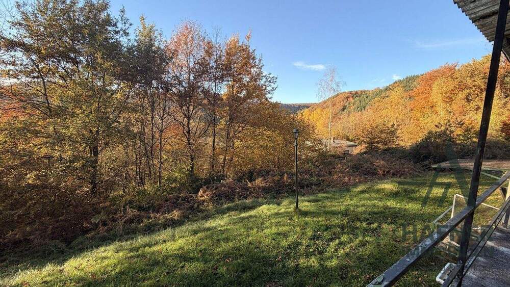 Thumbnail-Ein Ort, der entschleunigt - Ihr Rückzugsort mitten in der Natur bei Kordel - Ferienhaus