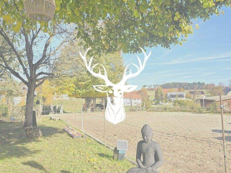 Thumbnail-Stilvoller Pferdehof mit flexiblem Gewerberaum, zwei Wohnungen und 1,3 ha arrondierter Fläche direkt am Hof in Leibertingen im Donautal