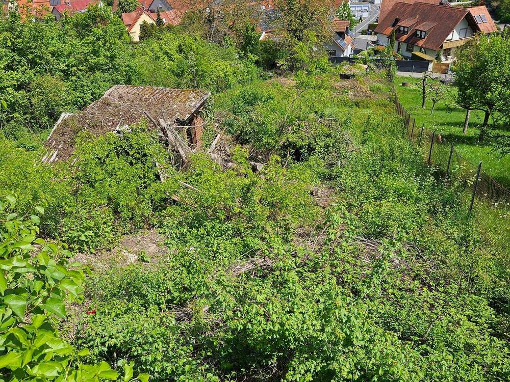 Thumbnail-Investition in die Zukunft