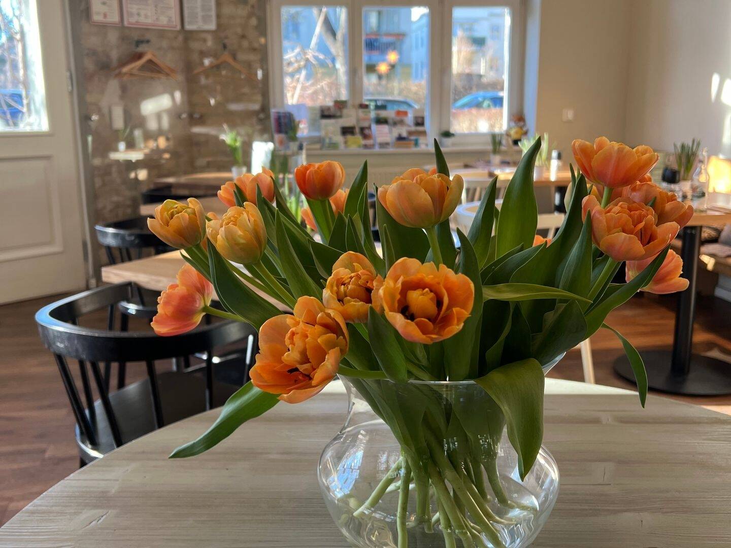 Thumbnail-Besichtigung 12.12. 16-17 Uhr! Ruhe genießen im großen eigenen Garten mit Terrasse - ab sofort