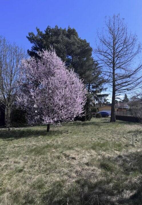 Thumbnail-perfekt für Ihr Vorhaben - Baugrundstück und Ihr individuelles EFH