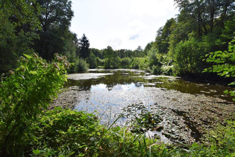 Thumbnail-Rausdorf - 3 Fischteiche auf großem Freizeitgrundstück mit Holzhaus in naturnaher, ruhiger Lage