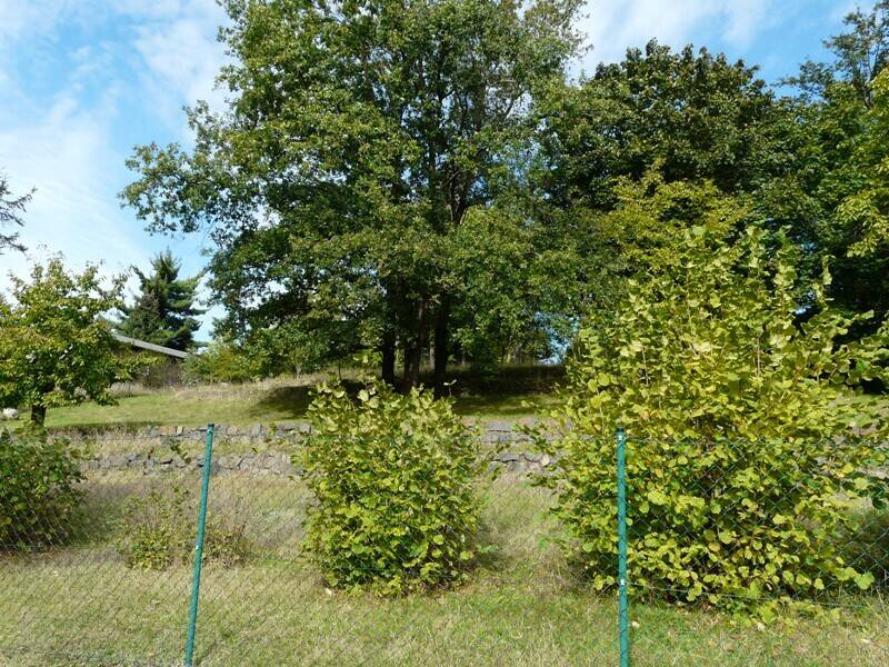 Thumbnail-Bahren Loreley - Großes Grundstück mit 2 Stück WE - Häuser - B Plan ist in arbeit (noch nicht fertig rechtskräftig)