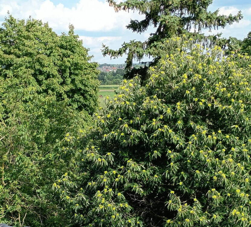 von Küche und Bad Ausblick auf