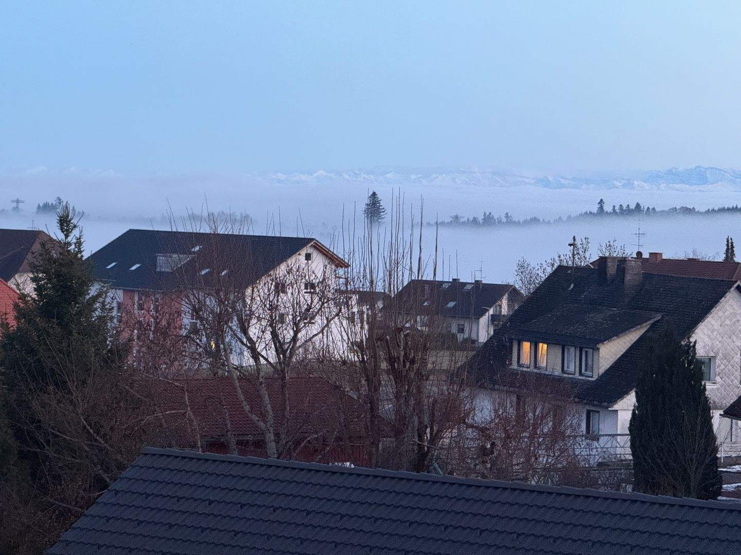 Thumbnail-Neubauwohnung in Grafenhausen