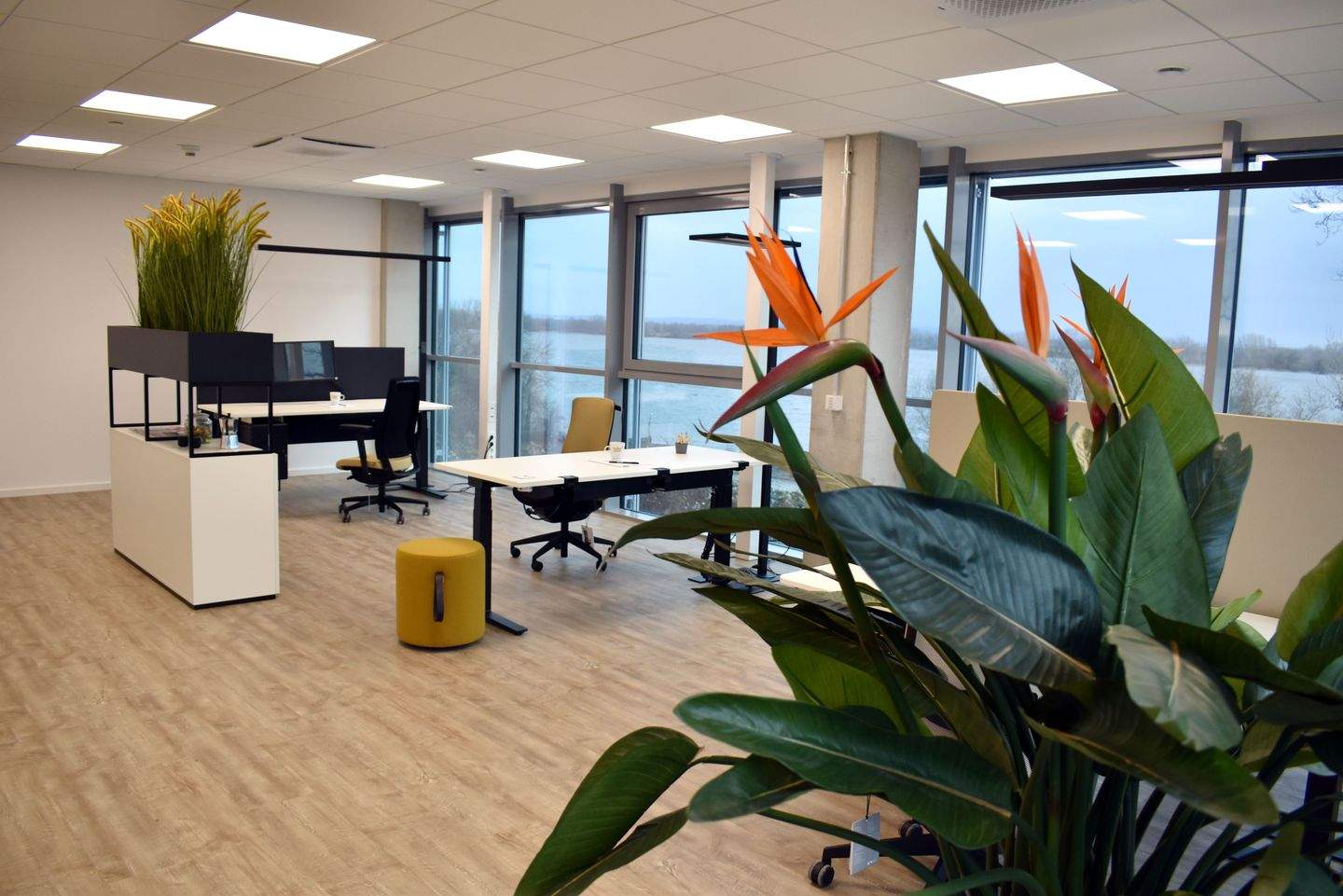 Thumbnail-ELBCUBE: Moderne Bürofläche mit Elbblick in der Metropolregion Hamburg!