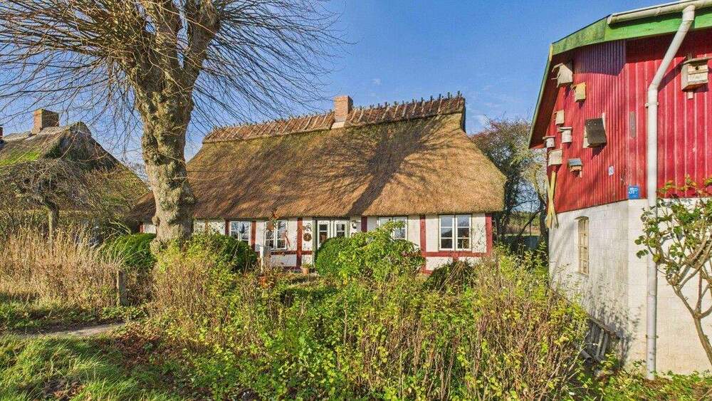 Thumbnail-Traumhafte Reetdachkate mit Nebengebäude in Schleinähe