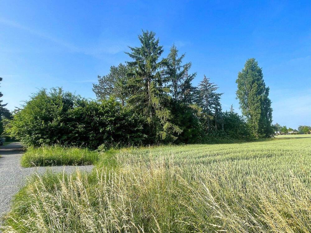 Thumbnail-Traumhaftes Baugrundstück mit grünem Ausblick!