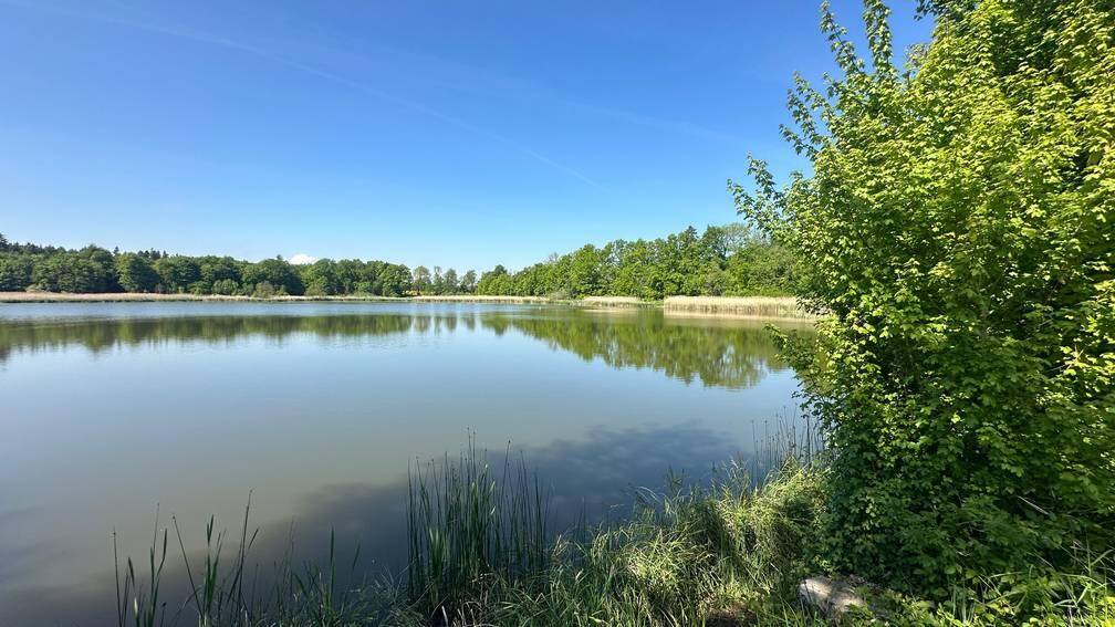 Thumbnail-Pferdehaltung? Bauernhaus mit Scheune, Nebengebäuden und viel Land zu verkaufen!