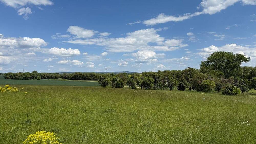 Thumbnail-Idyllisch am Ortsrand gelegen