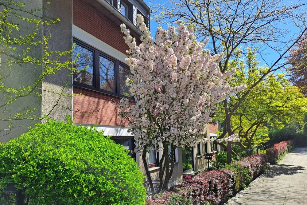 Thumbnail-Kleiner Schatz in Werden! Freundliches, helles 2½-Raum-Zuhause mit Balkon
