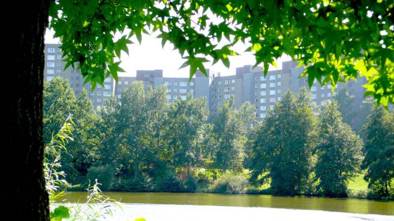 Thumbnail-Frisch renovierte 2-Zimmer-Wohnung in Damstadt-Kranichstein