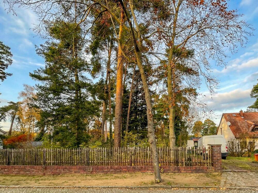 Thumbnail-Sonniges Baugrundstück am Waldrand - ideale Basis für Ihr Ein- oder Zweifamilienhaus