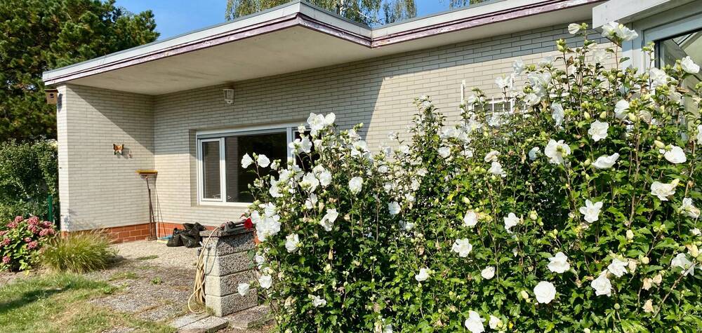 Thumbnail-„Charmanter Reihenendbungalow mit Entwicklungspotenzial in Berlin-Lankwitz“