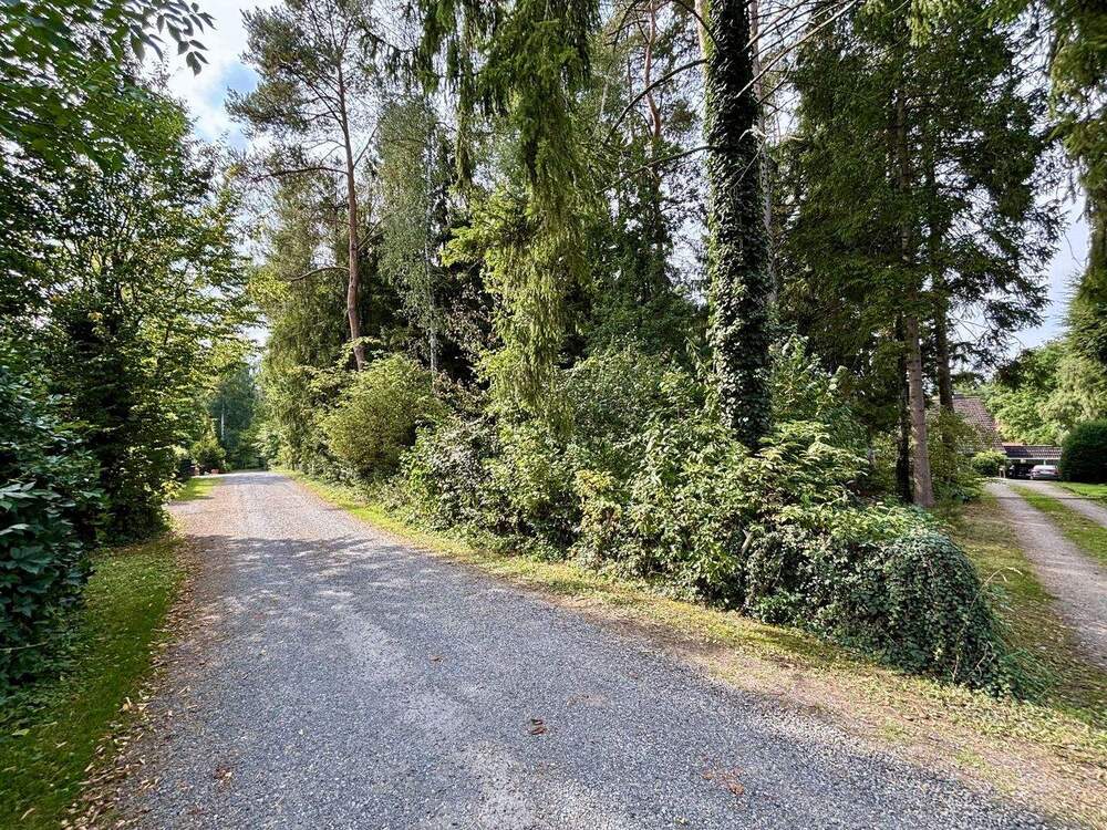 Thumbnail-Grün. Ruhig. Flexibel. - Baugrundstück in Buchholz mit altem Baumbestand und viel Potenzial