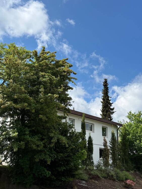 Thumbnail-Einfamilienhaus mit Einliegerwohnung