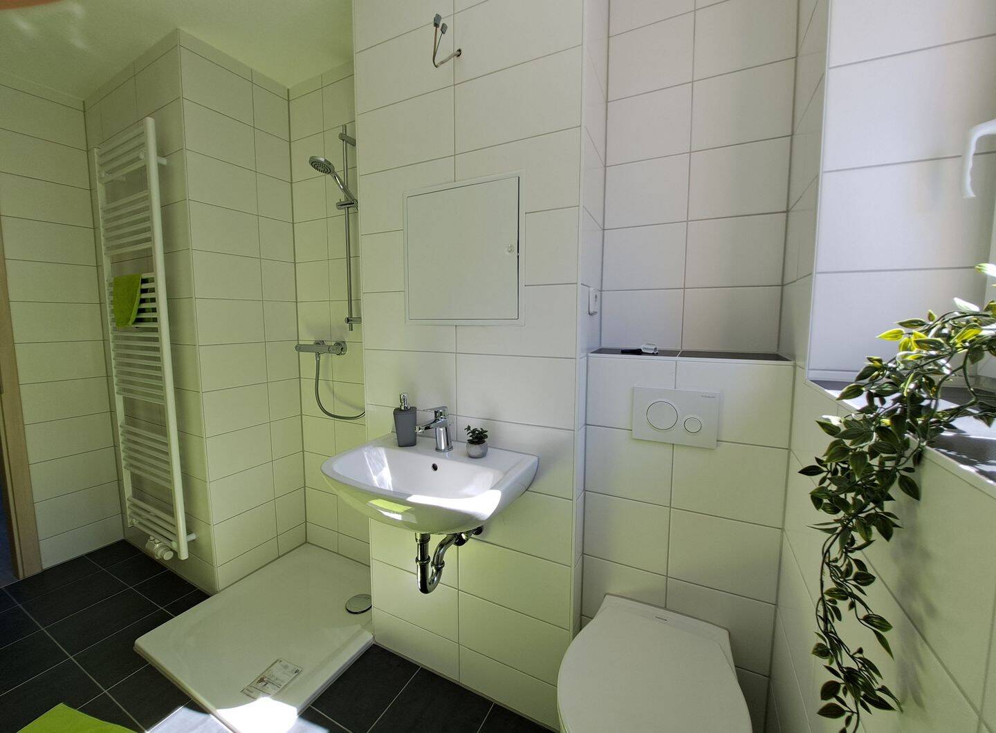 Thumbnail-Sehen, staunen, einziehen - niedliche, modern sanierte 3-Raum-Wohnung mit Dusche und Vinylbelag im Grünen von Niederdorf