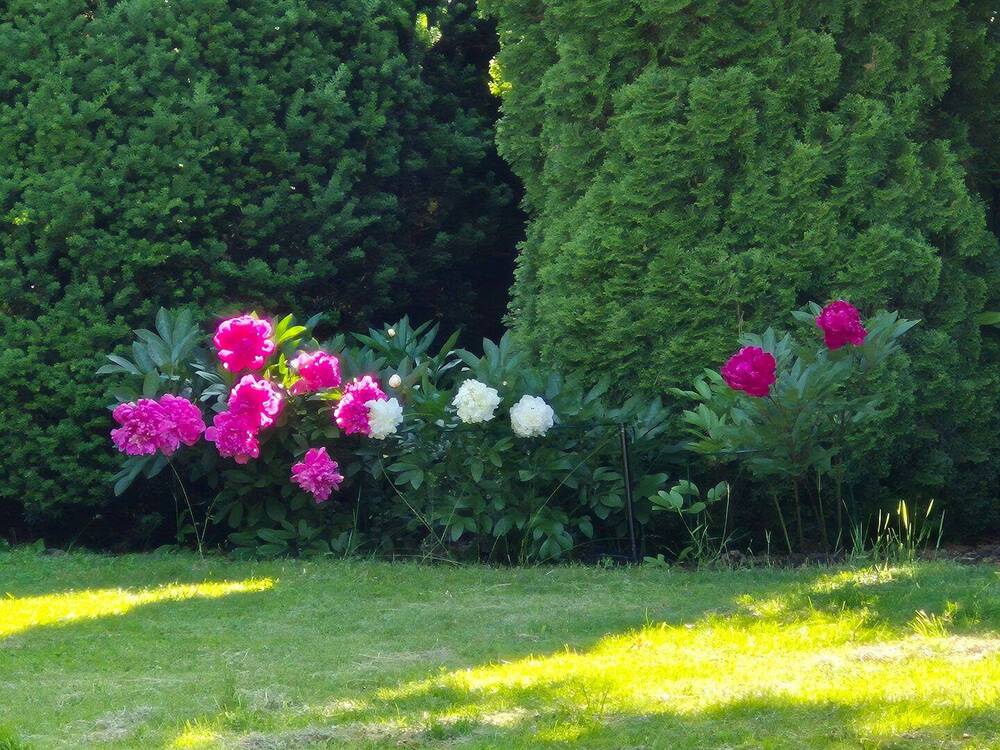 Thumbnail-Rückersdorf: Traumhaus mit zwei Terrassen, Balkon und großem sehr gepflegtem Garten