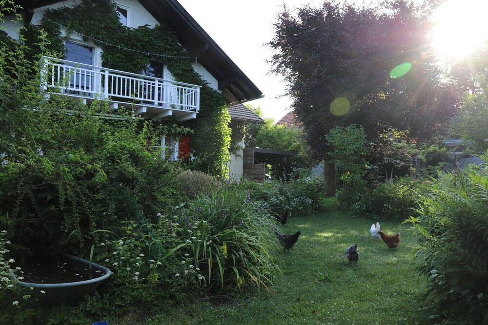 Südseite im Juni