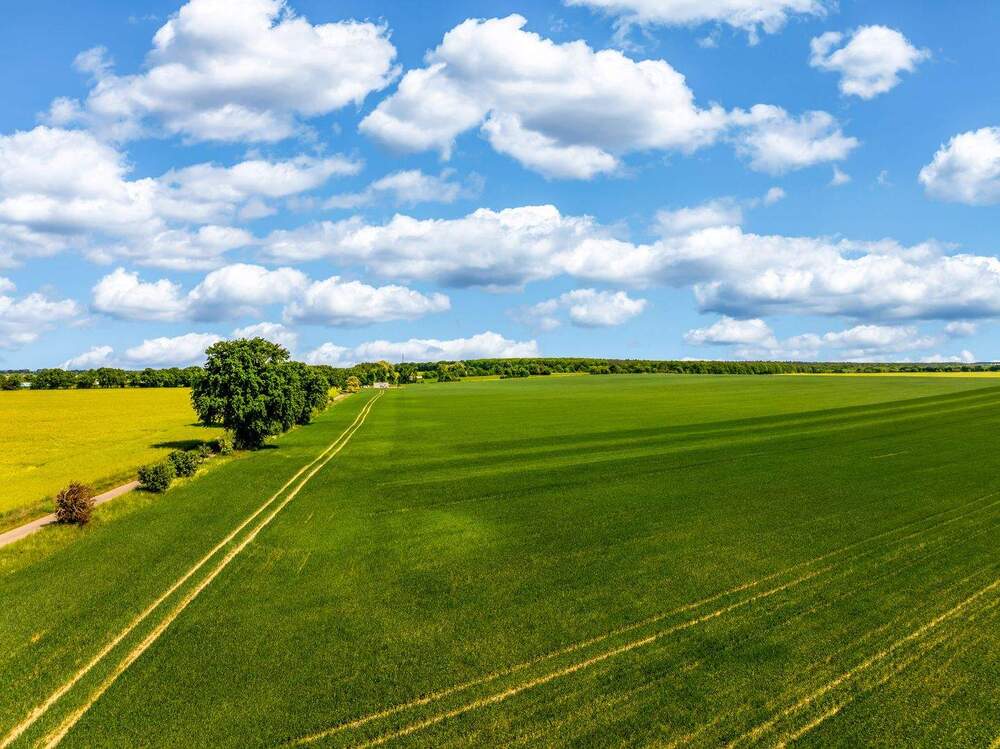 Thumbnail-Moderne Reihenhäuser mit Garten, Keller & flexibler Planung in ruhiger Lage von Mittenwalde