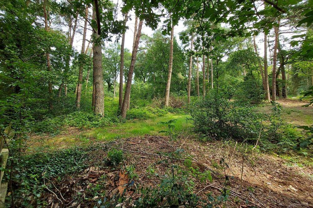 Thumbnail-Baugrundstück in ruhiger Nachbarschaft und allerschönster Lage nahe Worpswede