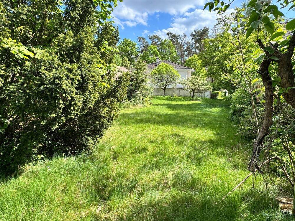 Thumbnail-945 m² Baugrund in begehrter Wolkersdorfer Naturrandlage – großzügiges EFH-Grundstück mit Teilungsoption