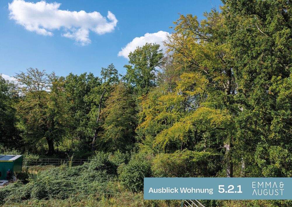 Thumbnail-Sonnenstunden & Parkblick vom überdachten Balkon - 4-Zimmer-Wohntraum für Familien in Groß Borstel