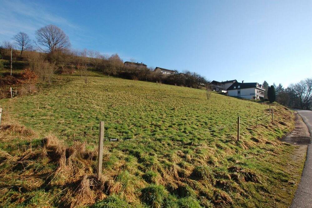 Thumbnail-STARK REDUZIERT! - Großzügiges Baugrundstück in Gammelsbach zu verkaufen!