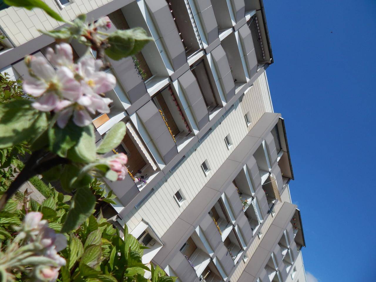 Thumbnail-Top renovierte 3-Raum-Wohnung