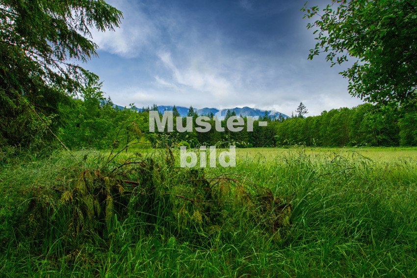 Thumbnail-Großzügiges Baugrundstück in Heiligkreuzsteinach - Eiterbach