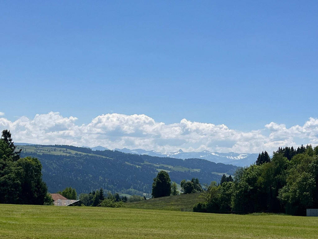 Bild1
