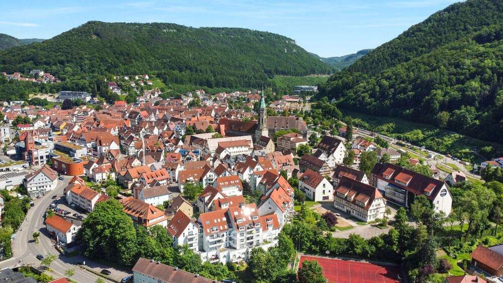 Thumbnail-LOFT-FEELING in Bad Urach: Wunderschöne helle Wohnung mit Terrasse & Ausblick