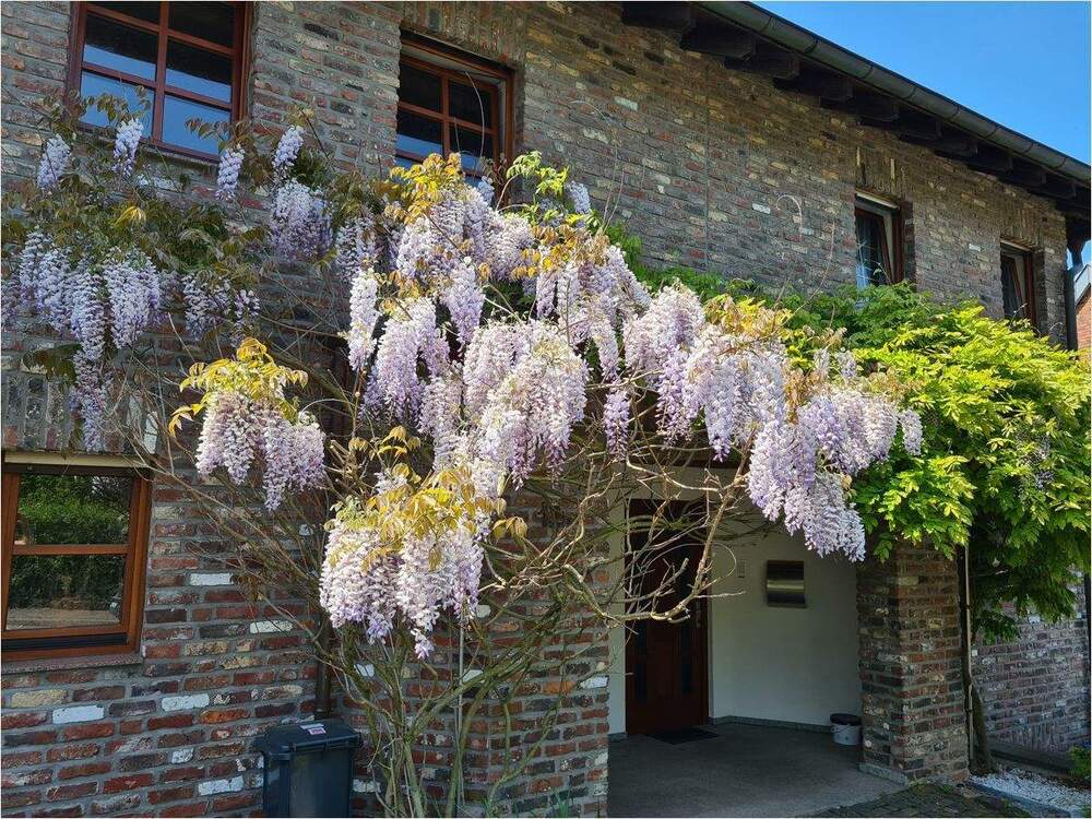 Thumbnail-!! Das Haus für die große Familie