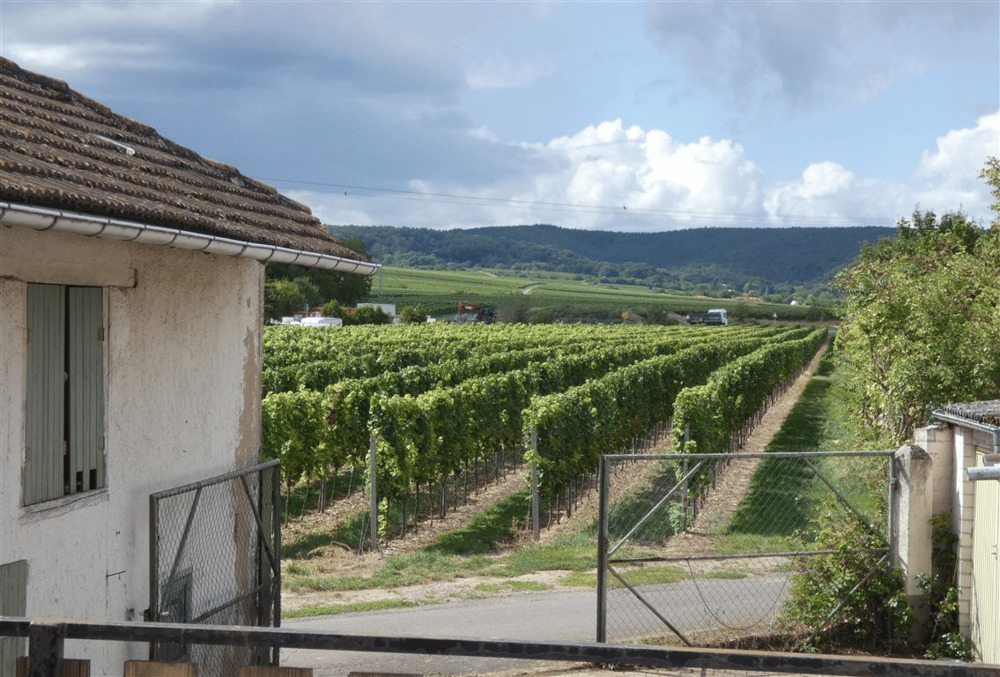 Thumbnail-Abrissimmobilie mit Weinbergsblick