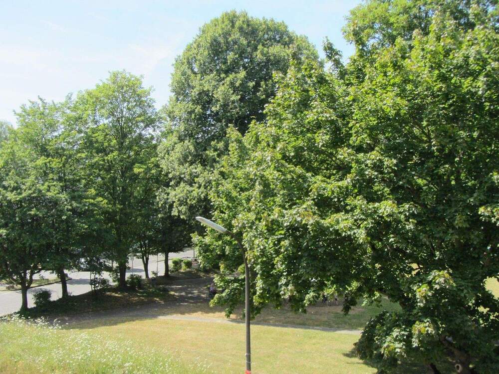 Thumbnail-AlfterBonn *Wohlfühlwohnung* Aufzug!* SW-Loggia *Stellplatz* Barrierearm*renoviert!